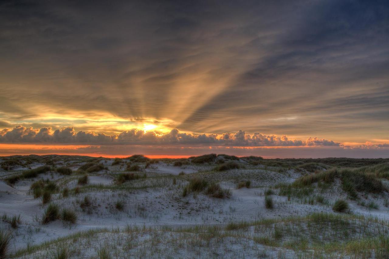 Zeelucht Texel Vila De Koog  Exterior foto