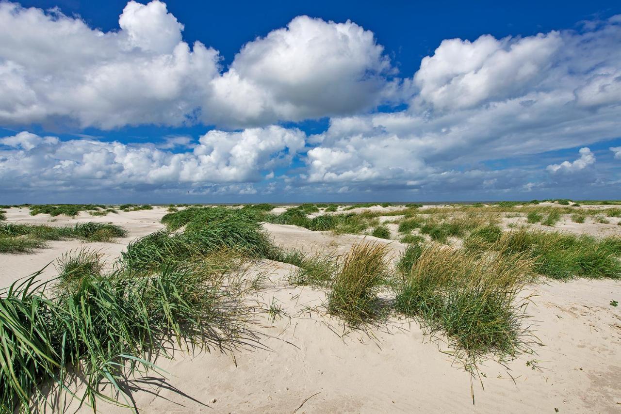 Zeelucht Texel Vila De Koog  Exterior foto